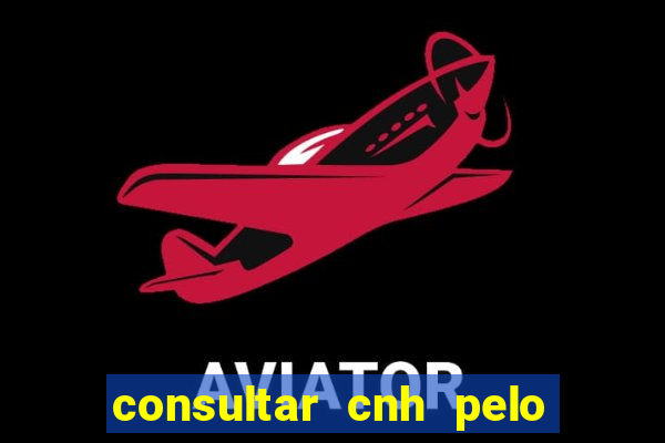 consultar cnh pelo cpf sp